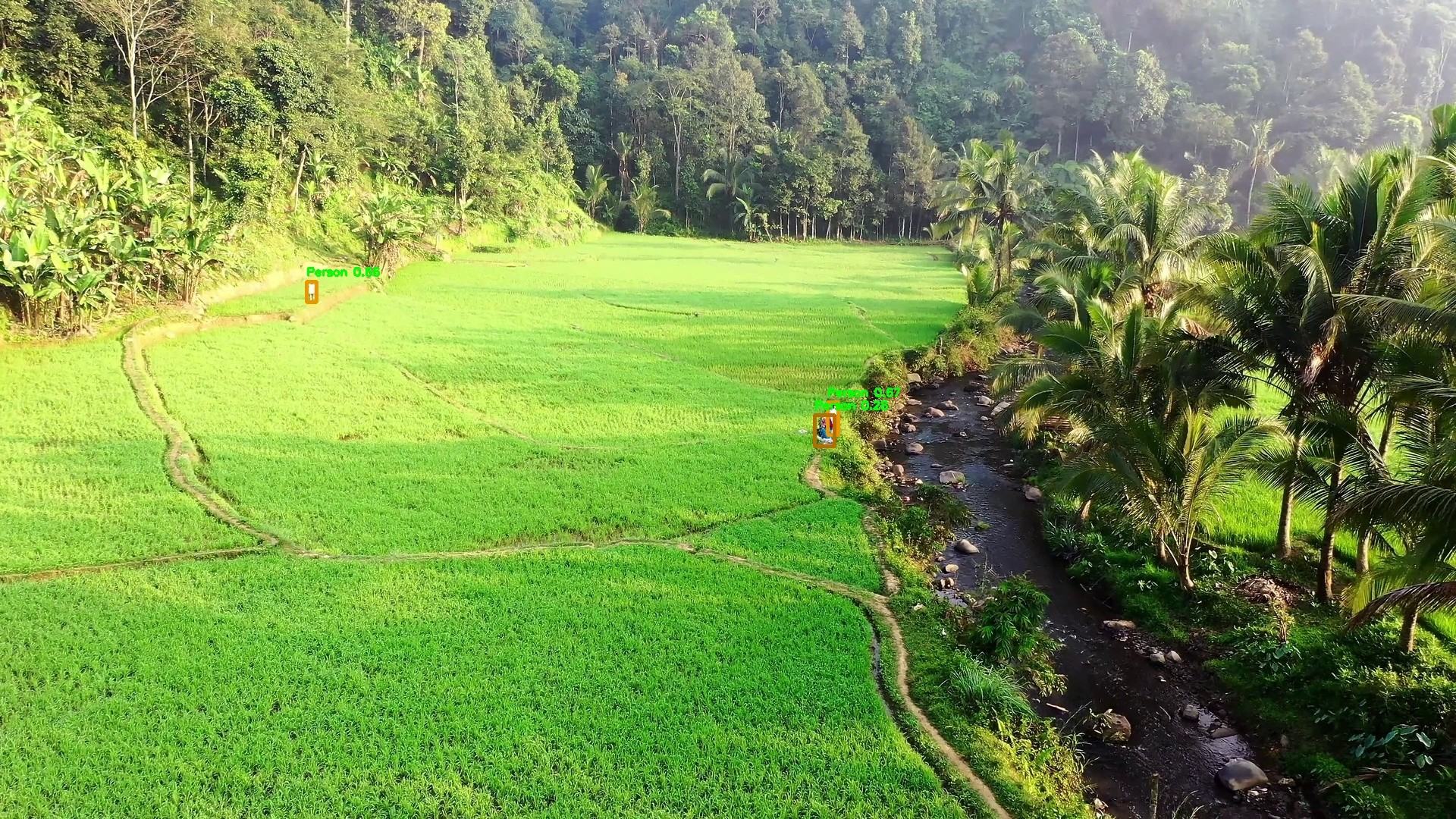 Aerial view of green rice fields beside a forested stream, with small detection boxes around two distant figures.